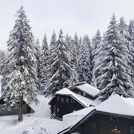 Apartments Zed Vila Zvoncica Kopaonik Extérieur photo