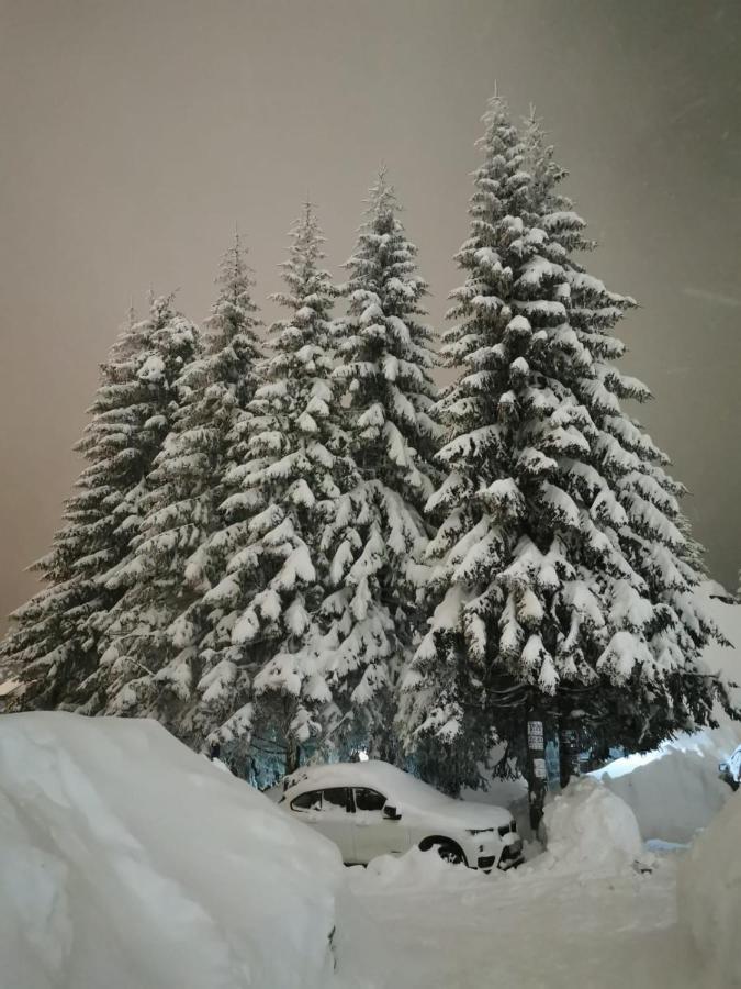 Apartments Zed Vila Zvoncica Kopaonik Extérieur photo