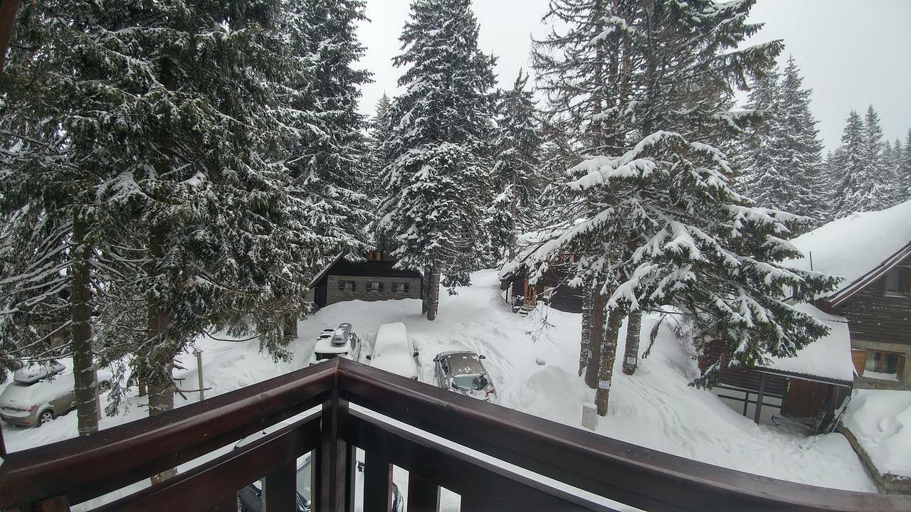 Apartments Zed Vila Zvoncica Kopaonik Extérieur photo